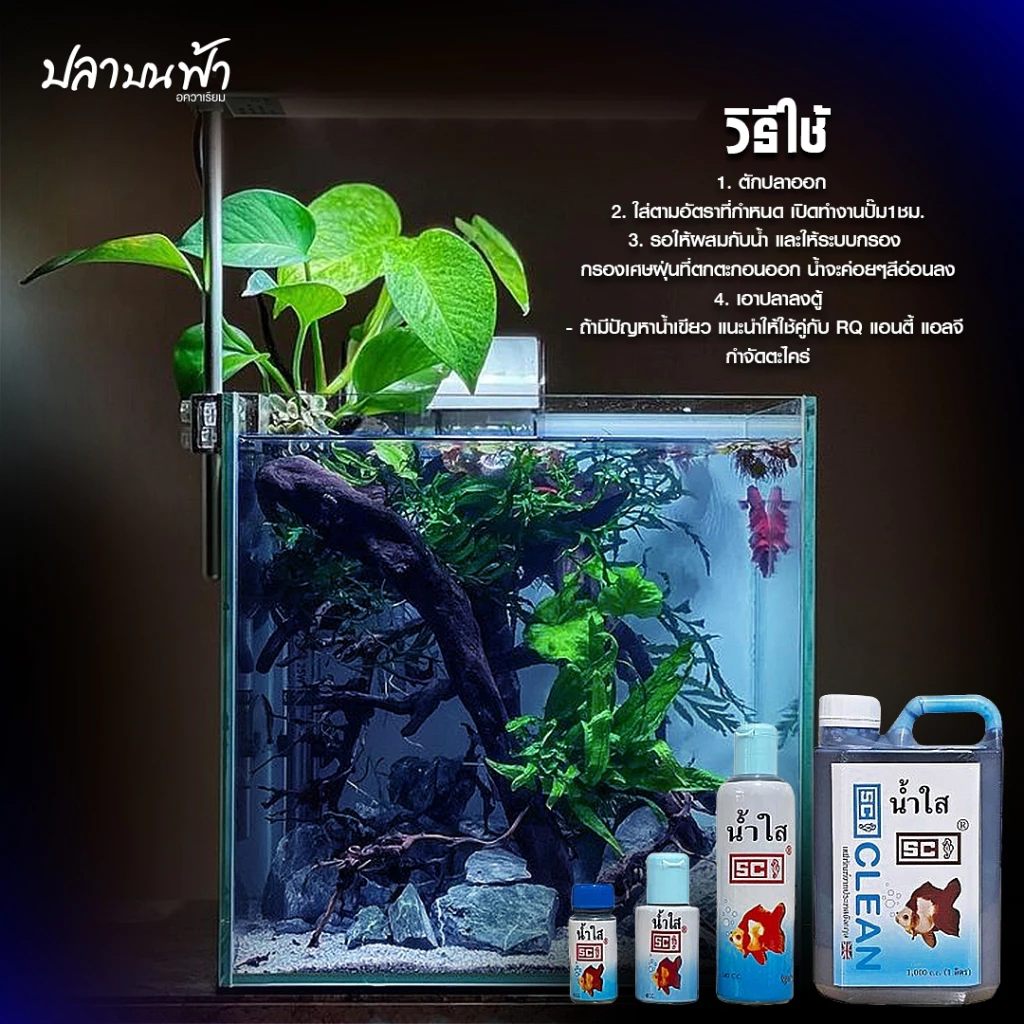 น้ำยาปรับสภาพน้ำใส SC ชนิดเข้มข้นช่วยปรับสภาพน้ำให้ใสสะอาดอยู่ตลอดเวลา โดยไม่ต้องเปลี่ยนน้ำบ่อย thumbnail 6