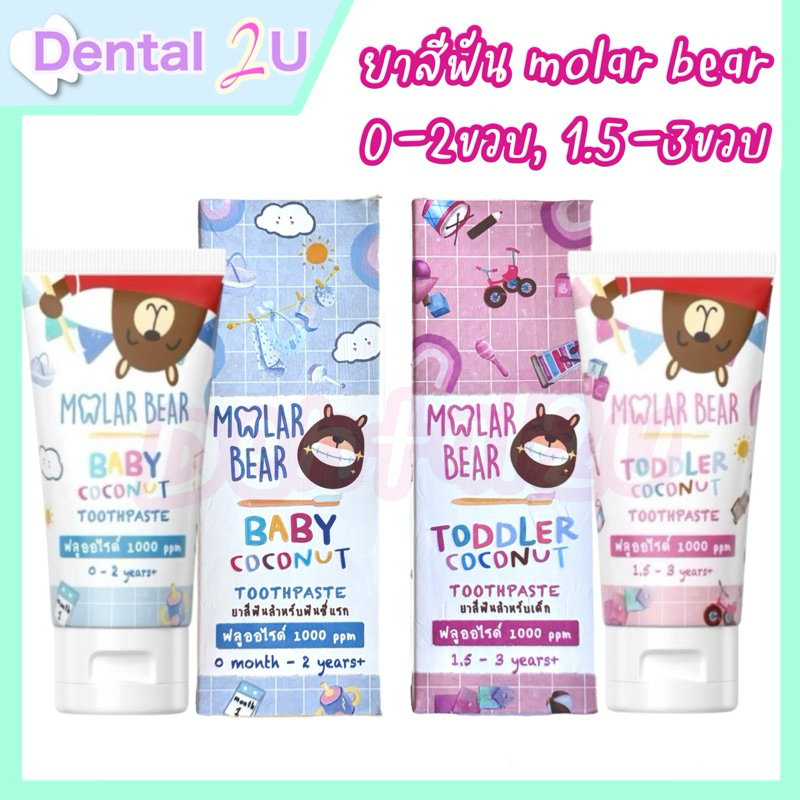 ใหม่ Molar Bear - ยาสีฟันเด็ก ฟลูออไรด์ 1000ppm รุ่น Baby, Toddler 40 กรัม ยาสีฟันที่ทันตแพทย์แนะนำ