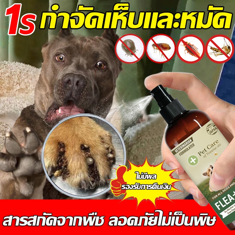1วินาทีฆ่าเห็บหมัด กำจัดเห็บและหมัด กำจัดหมัดหมา กำจัดเห็บหมัด กำจัดหมัดแมว สูตรพืช ปลอดภัย สากลสำหรับสุนัขและแมว