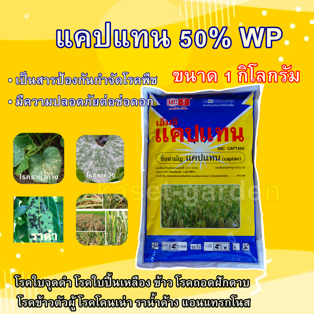 เอ็มซี แคปแทน กันเชื้อราพืช #ออโธ่ไซด์ #แคปทาไซด์ (1กิโล) ใบจุด ดอกจุด รา ดำ กาบใบแห้ง
