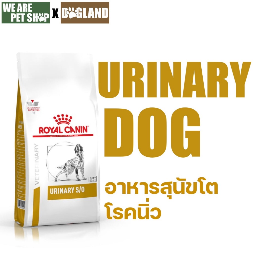 Royal Canin Vet Dog โรคนิ่วเม็ดกลาง Urinary S/O