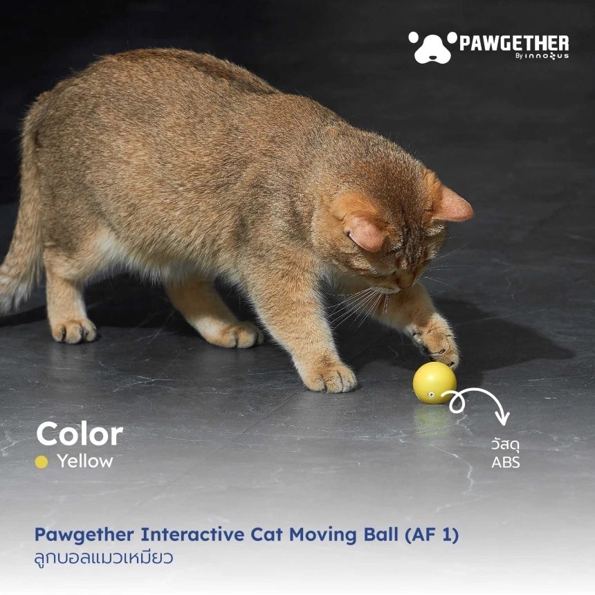 ของเล่นแมว บอลแมว ลูกบอลเล่นอัตโนมัติ สีเหลือง Pawgether รูปที่ 2