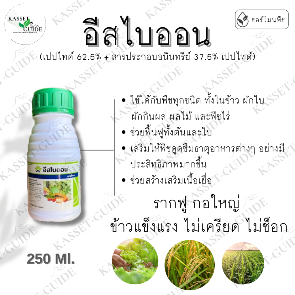 อีสไบออน 250 ml กรดอะมิโน เพิ่มผลผลิต ช่วยบำรุงพืชได้ทุกชนิด ช่วยให้พืชดูดซึมปุ๋ยได้ดี