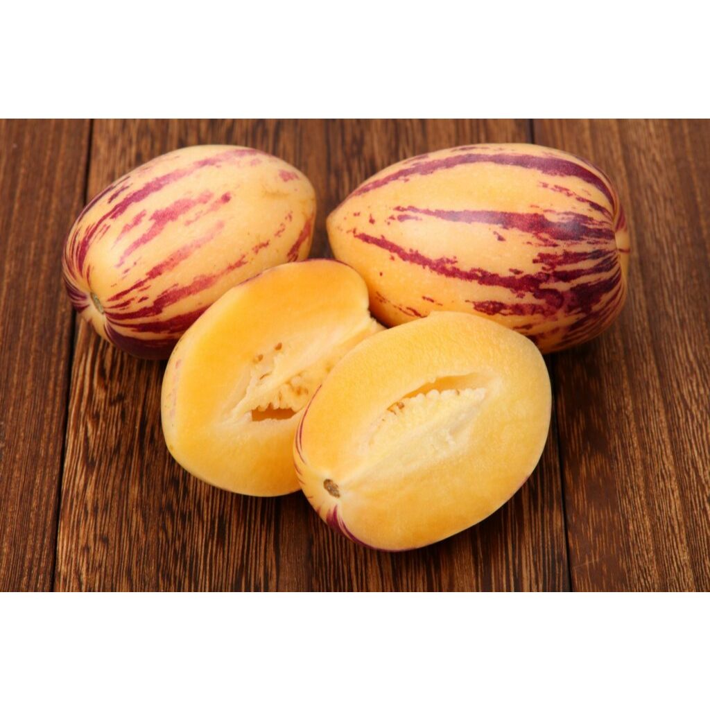 เมล็ดพันธุ์ มะเขือหวาน Pepino Melon 20-50 เมล็ด เปปิโนเมลอน รสชาติหวานสดชื่น ปลูกง่ายในทุกพื้นที่ (ซื้อ 10 แถม 1 คละได้) - รูปที่ 4