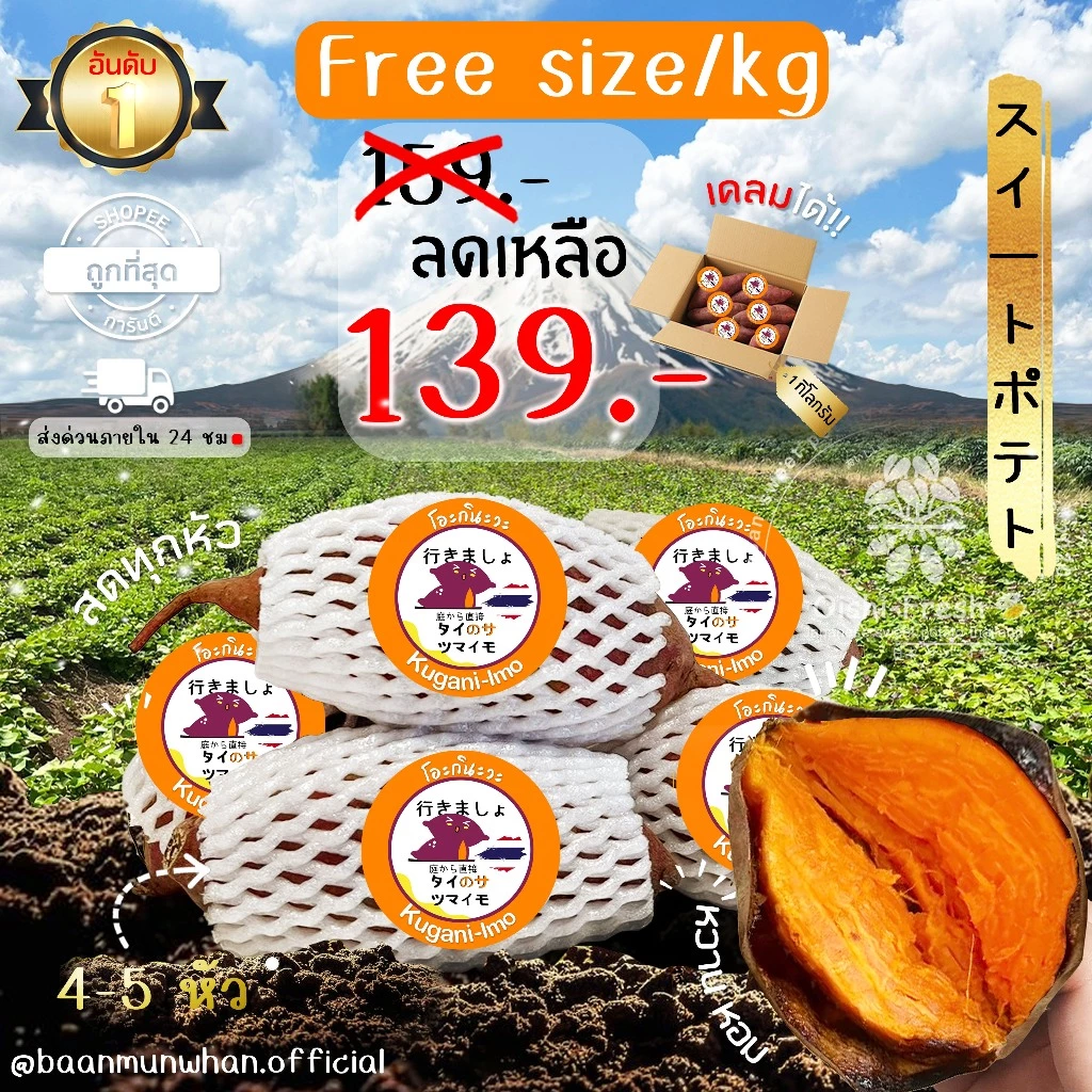 Oishi-Fresh มันหวานญี่ปุ่น 🇹🇭ปลูกในไทย🇹🇭สายพันธุ์ โอกินาว่า เนื้อส้ม หวานธรรมชาติ นุ่ม หอม 1 กิโลกรัมสินค้าเคลมได้