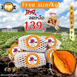 Oishi-Fresh มันหวานญี่ปุ่น 🇹🇭ปลูกในไทย🇹🇭สายพันธุ์ โอกินาว่า เนื้อส้ม หวานธรรมชาติ นุ่ม หอม 1 กิโลกรัมสินค้าเคลมได้