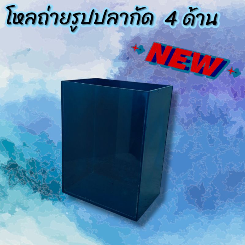 โหลปลากัด พื้นหลังสี ขาว ดำ น้ำเงิน 4 ด้าน กระจกหนา 3 มิน โหลถ่ายรูป