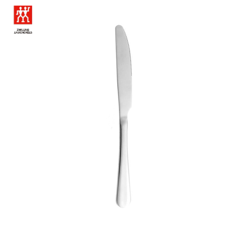 Zwilling Stainless steel knife and steak knife dinner knife (5 / pack)