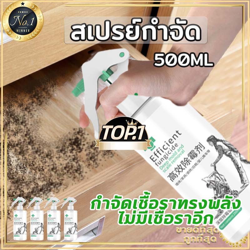 น้ำยาฆ่าเชื้อรา น้ำยากำจัดเชื้อรา กำจัดเชื้อรา เชื้อรา คราบเชื้อรา น้ำยากำจัดคราบสิ่งสกปรกผนัง น้ำยาฆ่าเชื้อรา​แบบสเปรย์