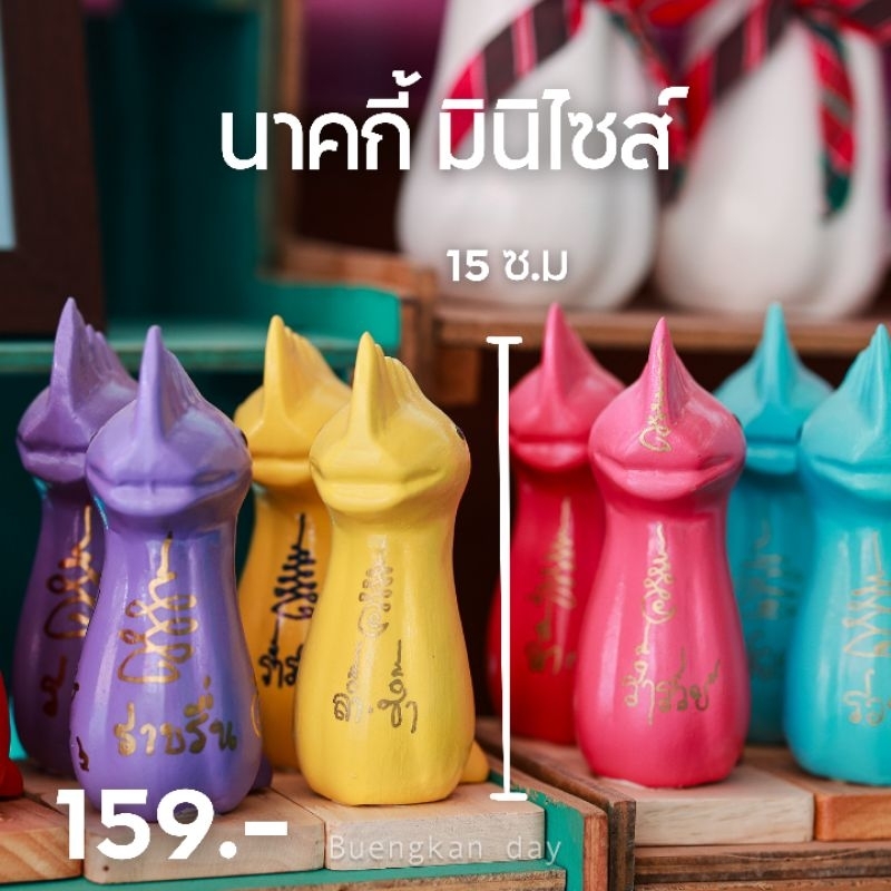 นาคกี้มินิไซส์ เป็นขนาดตั้งโชว์ สุดน่ารัก