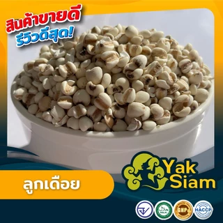 ลูกเดือย คุณภาพส่งออก มาตรฐาน อ.ย. GMP