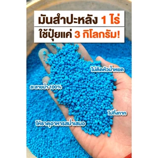 ปุ๋ยบำรุงต้น - ใบสูตร 29-9-9 ขนาด 1 กิโลกรัม ( #ฟื้นต้นโทรม )
