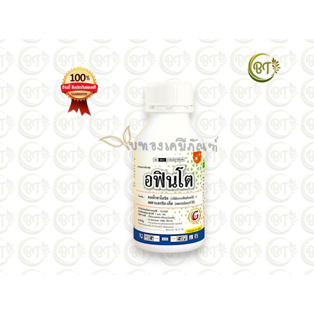 ขนาด 500 ซีซี อฟินโต บาก้า ยาเชืัอรา ป้องกันกำจัดโรคราน้ำค้าง ราใบจุด ใบไหม้ ใบขีด คลอโรทาโลนิล+เมทาแลกซิล