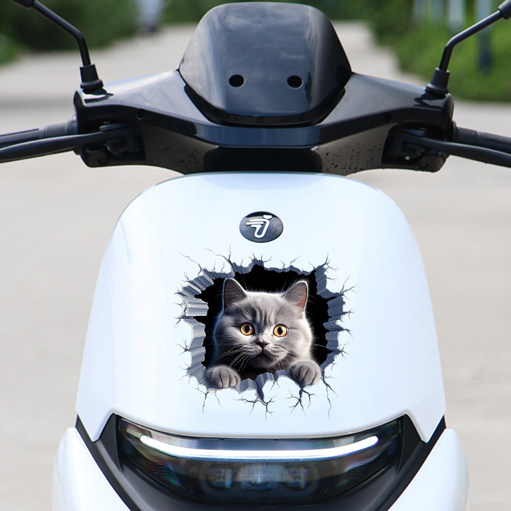 (ส่งจากไทย) สติกเกอร์แมวน่ารัก กันน้ํา ลายแมวตลก สติ๊กเกอร์ติดรถ ติดแอร์ ติดโน้ตบุ๊ค สติ๊กเกอร์ตกแต่ง สติ๊กเกอร์ปิดรอย - รูปที่ 6