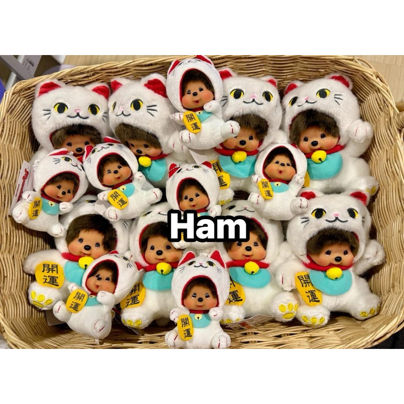 ม่อนชิชิคอลใหม่ล่าสุดพร้อมส่งในไทย