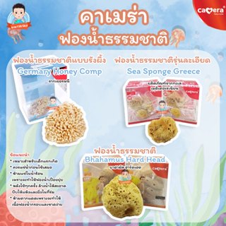 Camera ฟองน้ำ ฟองน้ำอาบน้ำเด็ก ฟองน้ำธรรมชาติ