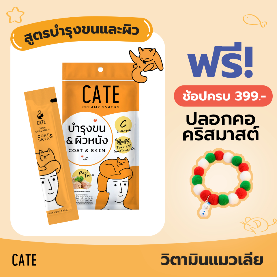 เคท™ ขนมแมวเลีย คอลลาเจน รสปลาทูน่า 8 ซอง จำนวน 2 แพ็ค CATE Creamy Snack Collagen
