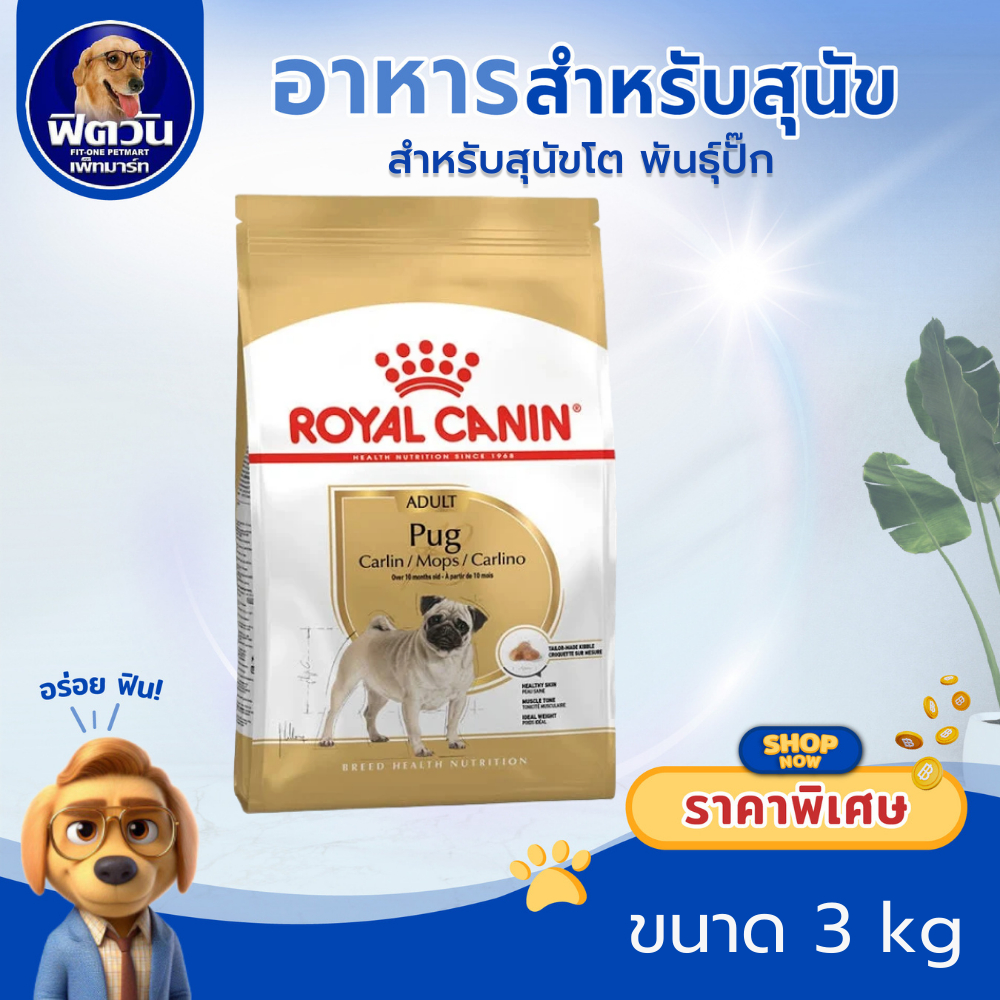 ROYAL CANIN Pug (ADULT) สุนัขอายุ 10 เดือนขึ้นไป พันธุ์ปั๊ก  3 กิโลกรัม{อาหารสุนัขเม็ด} ราคา ถูกที่สุด ดีลบีเคเค
