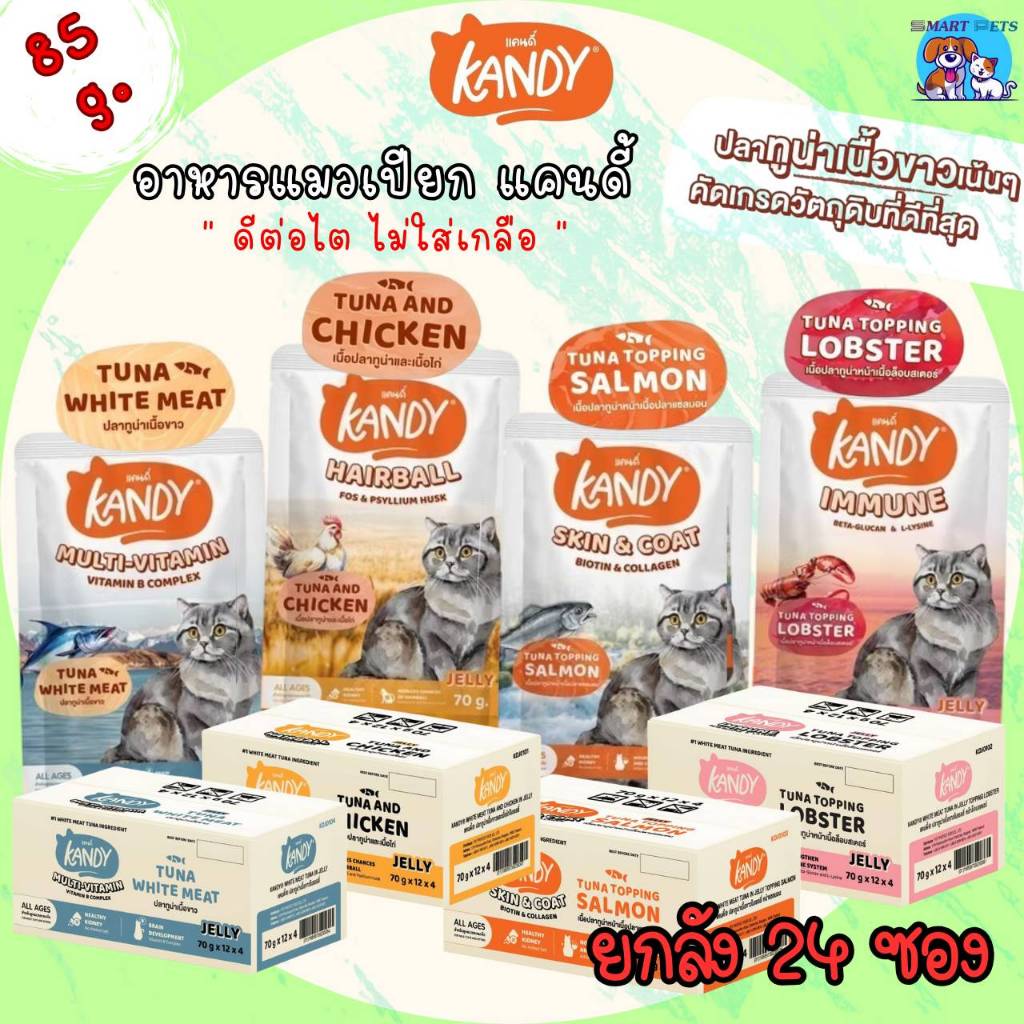 😻 Kandy Kandy อาหารเปียกแมว แคนดี้ ขนาดซองละ 70 กรัม [แบบลัง 48ซอง]