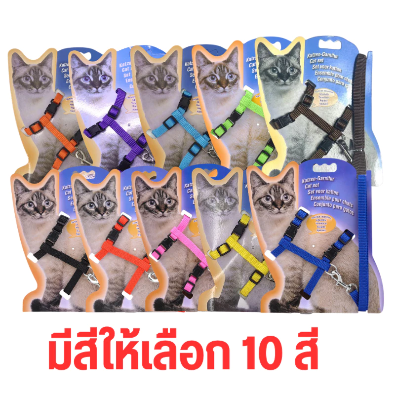 สายจูงรัดสัตว์เลี้ยงปรับได้ สายจูงแมว หมา กระต่าย ขายส่งโดยตรงจากโรงงาน สินค้าดีมีคุณภาพ thumbnail 6