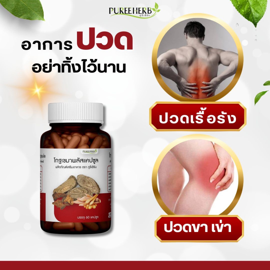 โกฐเขมา พลัส แคปซูล ภูรี เฮิร์บ Puree Herb เถาวัล เปรียง ข้อ เข่า หลัง เอว ปวดเมื่อย เส้นยึด เส้นตึง