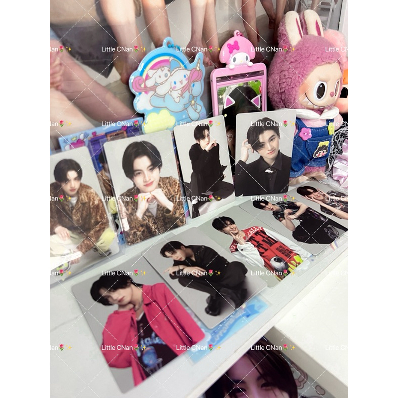 การ์ดแท้ BUS becauseofyouishine