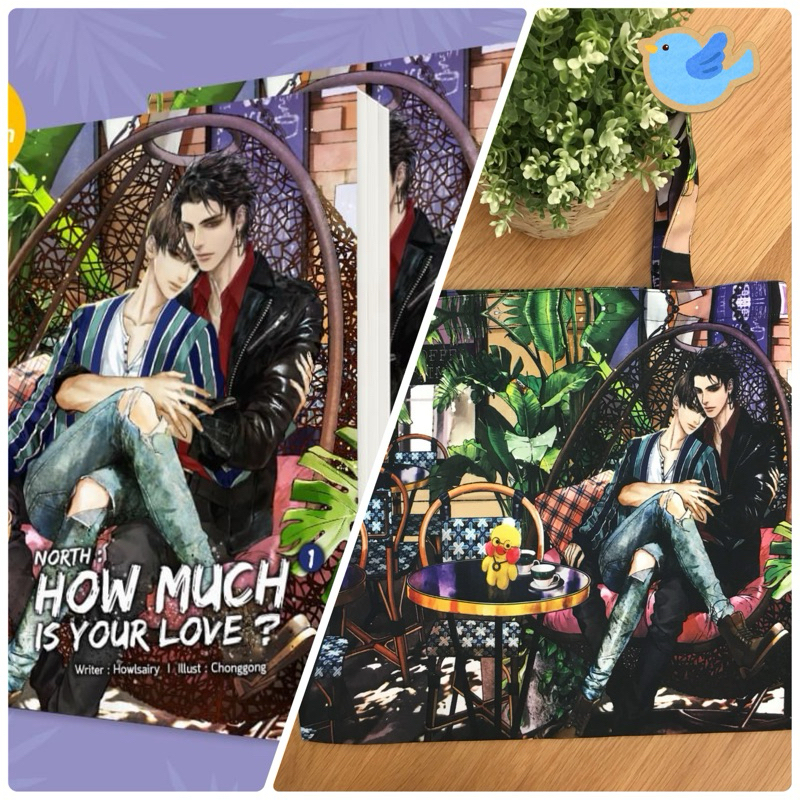 นิยายวาย NORTH : HOW MUCH IS YOUR LOVE? เล่ม 1-2 (2 เล่มจบ) + กระเป๋าลายปก [โจฮันนอร์ธ]