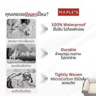 MAPLE'S เบาะสัตว์เลี้ยง2-in-1 รุ่นจัมโบ้ สำหรับสัตว์เลี้ยงขนาดใหญ่ เตียงสุนัข เบาะหมา ที่นอนเเมว