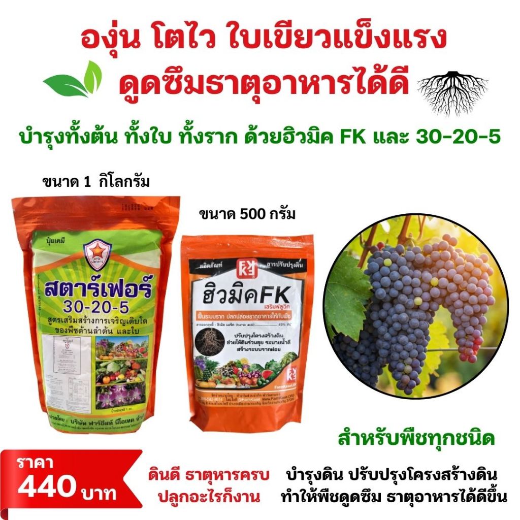 ชุดเร่งโต ต้นองุ่น โตไวใบเขียว บำรุงดิน พืชกินปุ๋ยได้ดี ฮิวมิคFK และปุ๋ยสตาร์เฟอร์30-20-5