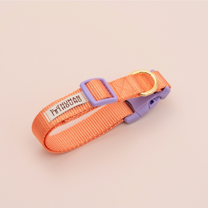 ปลอกคอสุนัข Human & Hound  รุ่น Quick Snap Collar! พร้อมสายจูง Handsfree Leash - Cotton Canda