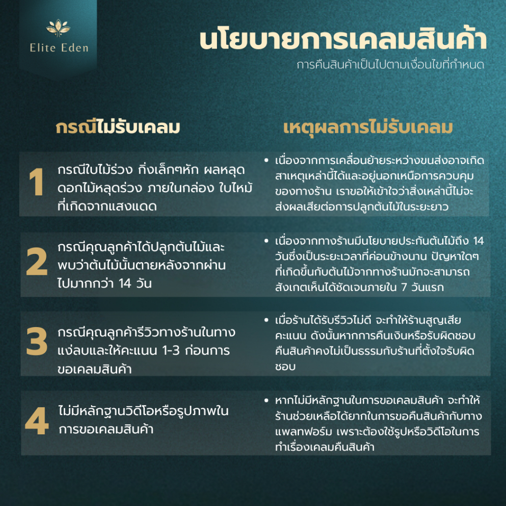ต้นละมุดสาลี่ยักษ์หรือละมุดเวียดนาม สูง 150-200 cm. (ต้นใหญ่) ออกผลไวมาก ผลใหญ่ หวานจัดไม่เป็นทราย - รูปที่ 4