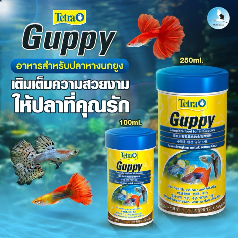 Tetra Guppy อาหารปลานางนกยูง 30g/75g