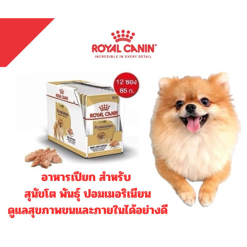 [1โหลอาหารเปียก] ROYAL CANIN อาหารเปียก POMERANIAN  สูตรสุนัขพันธุ์ปอม โต 1 โหล*85g
