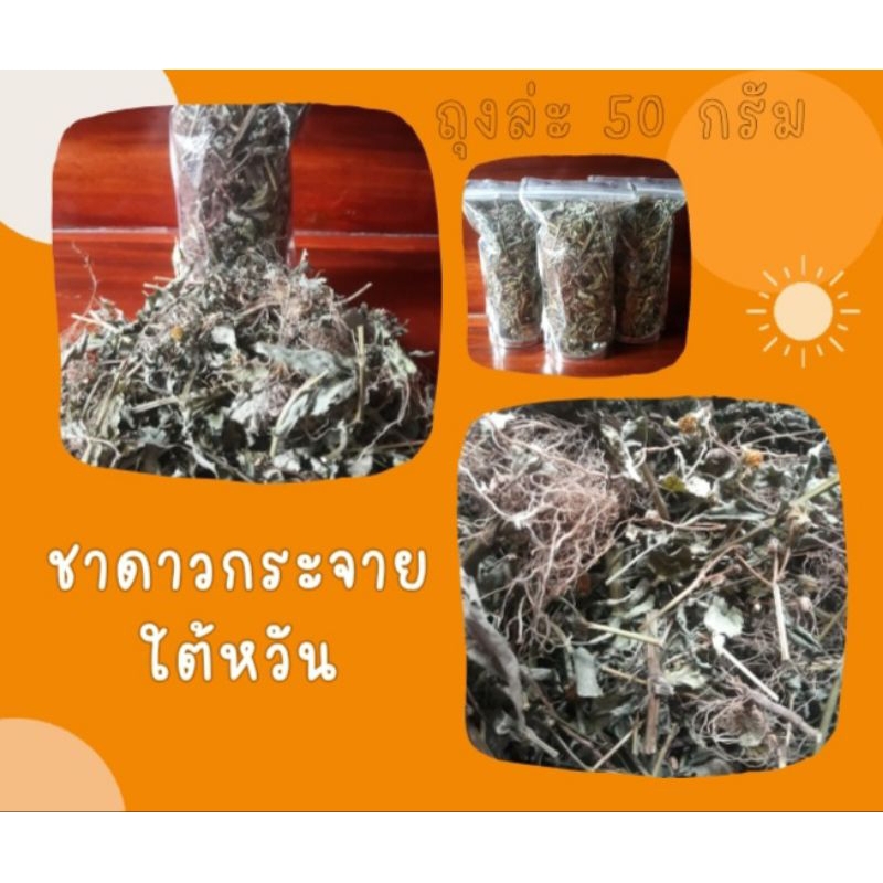 ชาดาวกระจายไต้หวัน มีแบบใบชา 50 กรัมและแบบถุงชา 12 ถุงต่อ 1 ห่อหลับสบาย ฟอกโลหิต ออกฤทธิ์ต่อกระเพาะอ