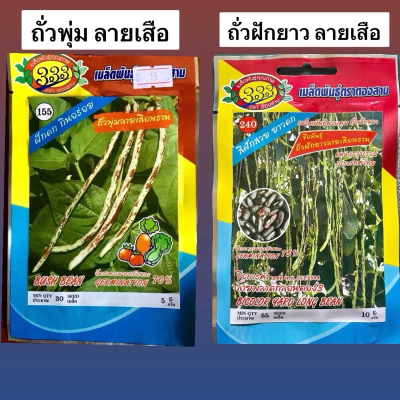 ถั่วพุ่ม ถั่วฝักยาว ลายเสือพราน (ประมาณ 30 เมล็ด)