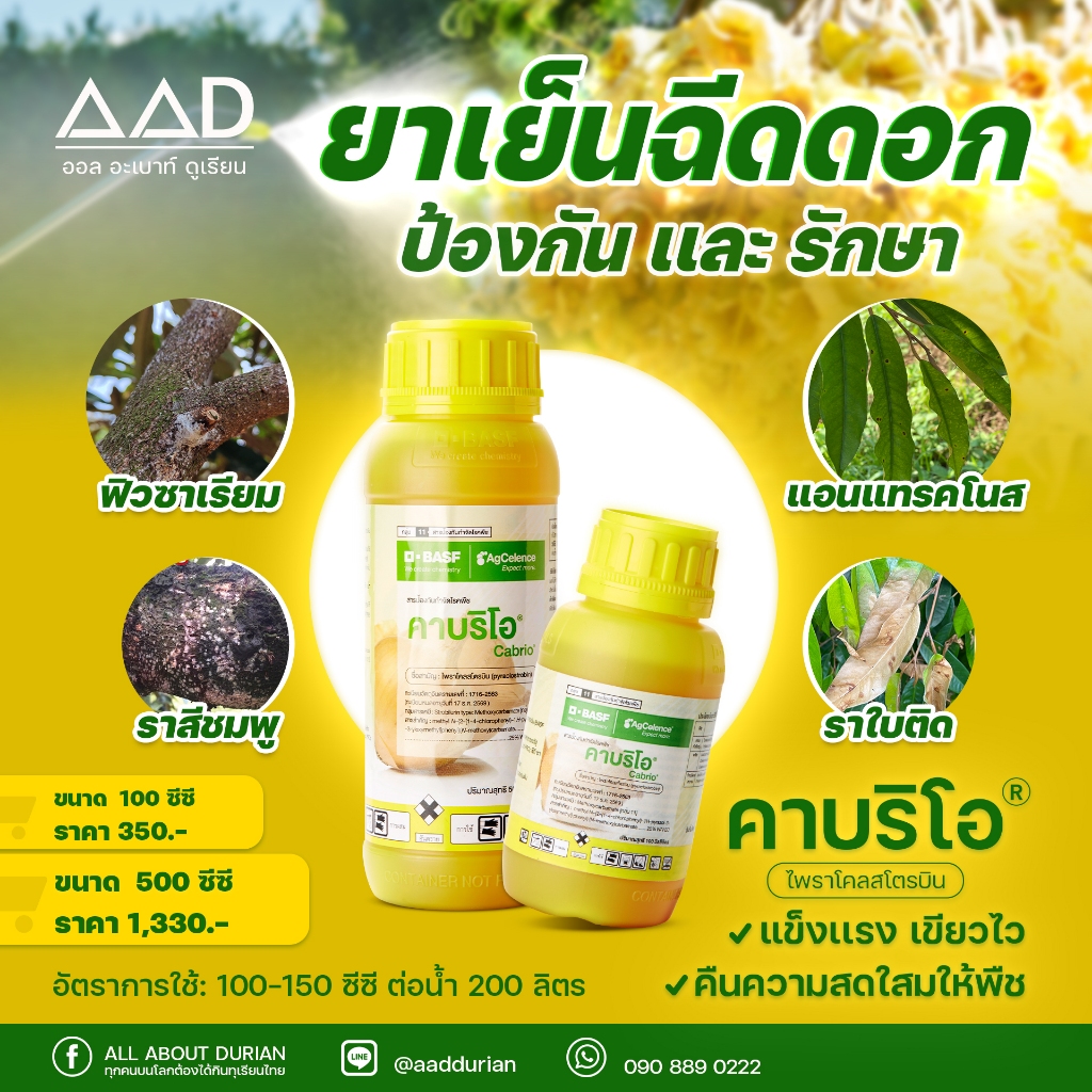คาบริโอ ชื่อสามัญ ไพราโคลสโตรบิน ขนาด 500CC.