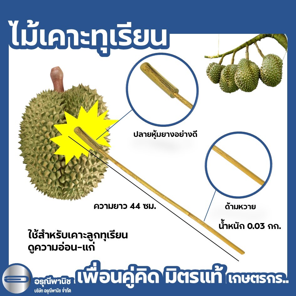 ไม้เคาะทุเรียน ด้ามหวาย ด้ามพลาสติก ปลายหุ้มยาง