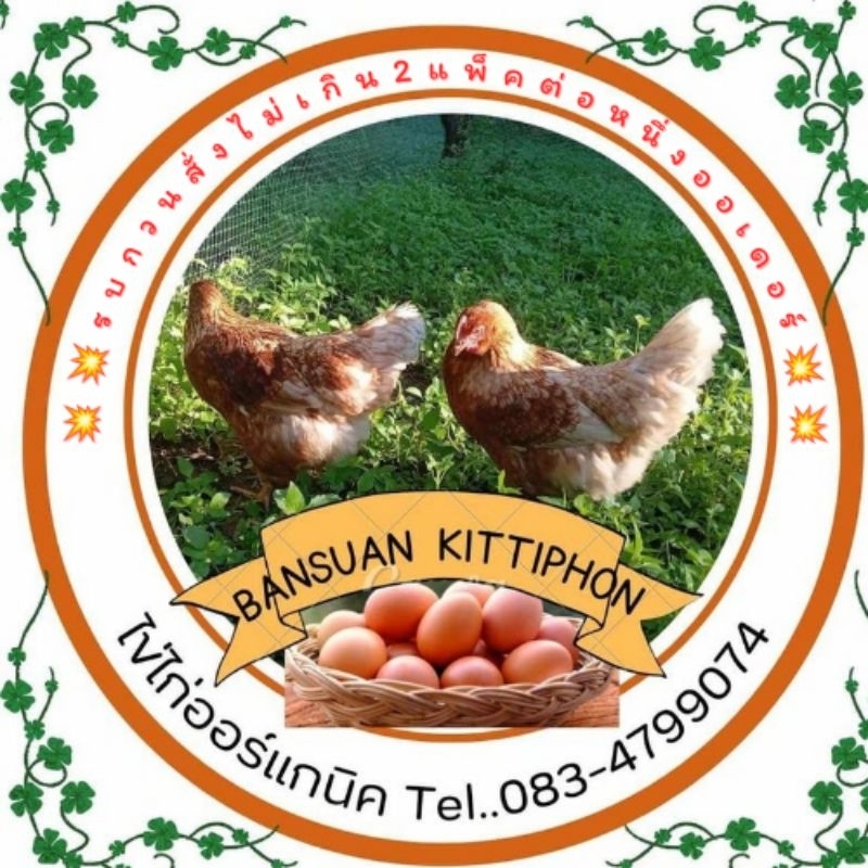 ไข่ไก่ออร์แกนิค 100%ไม่ใช้ยาปฎิชีวนะเลี้ยงแบบปล่อยอิสระบรรจุแพ๊ค10ฟองคล่ะไซค์เก็บสดทุกวันสั่งไม่เกิน2แพ็คต่อหนึ่งออเดอร์
