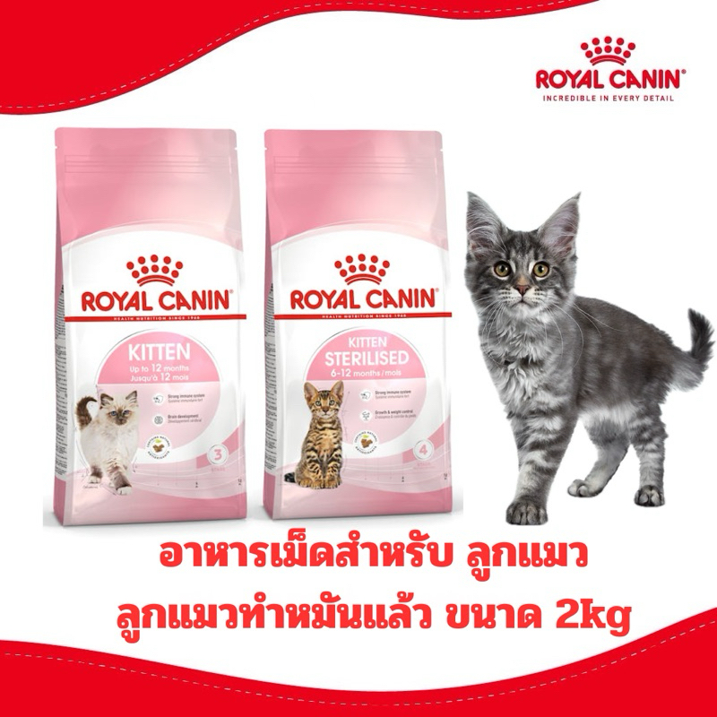 [ถูกที่สุด] ROYAL CANIN รอยัล คานิน อาหารแมว สูตร ลูกแมว KITTEN ขนาด 2kg