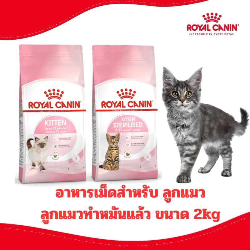 [ถูกที่สุด] ROYAL CANIN รอยัล คานิน อาหารแมว สูตร ลูกแมว KITTEN ขนาด 2 kg