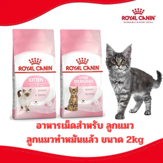 [ถูกที่สุด] ROYAL CANIN รอยัล คานิน อาหารแมว สูตร ลูกแมว KITTEN ขนาด 2 kg