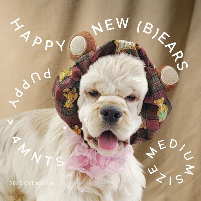 Happy New Ears ที่เก็บหูสุนัข Dog Snood น้องหมี มี 2 สี ป้องกันหูตกลงในชามอาหาร ป้องกันหูอักเสบ
