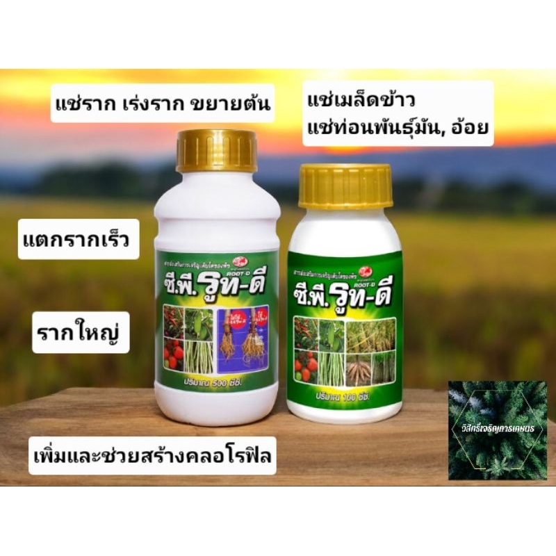 ซีพี รูทดี (ยาแช่ราก,แช่เมล็ด) เร่งแตกราก