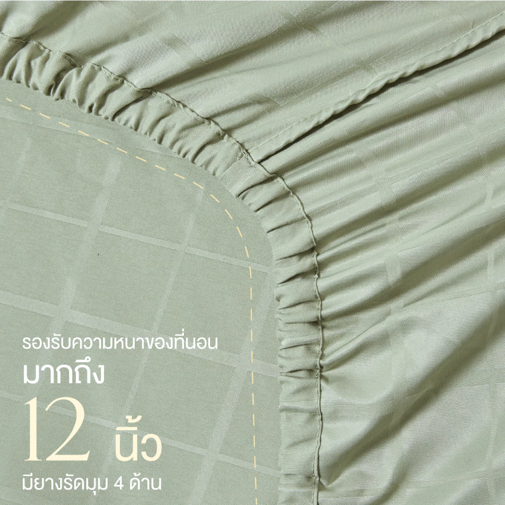 ibed ชุดผ้าปูที่นอนทอลายครบเซ็ท Softex Satin (ลายสี่เหลี่ยม) Amazonite - SQUARE COLLECTION thumbnail 6