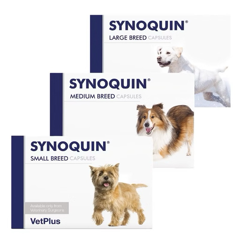 VETPLUS SYNOQUIN JOINT SUPPLEMENT FOR DOGS (SMALL, MEDIUM, LARGE) (TABLET)