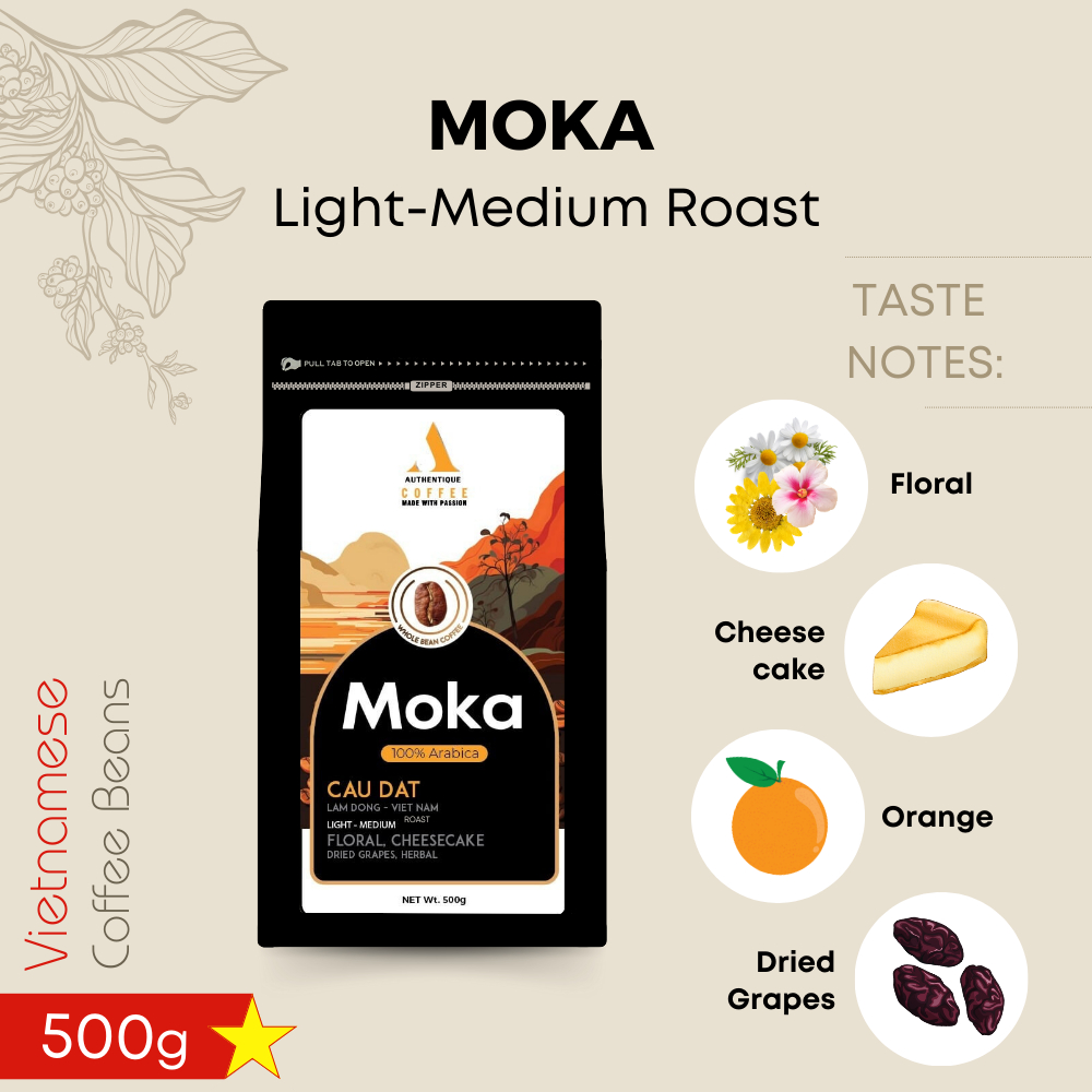 Authentique Moka Premium Grade Light / Medium Roast กาแฟคั่วอ่อน /กาแฟคั่วกลาง (100% Arabica) เมล็ดกาแฟอาราบิก้าจากเวียด