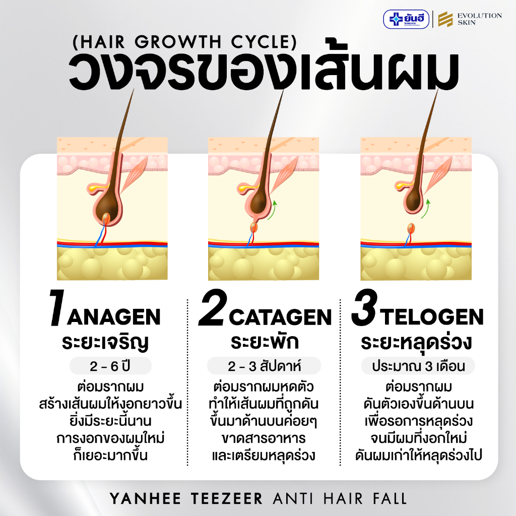 YANHEE TEEZEER SETคู่หู ยันฮี ทีเซอร์ ยาสระผม แชมพู หยุดผมร่วง เร่ง ผม หนา บาง รากผมแข็งแรง ลดคัน - รูปที่ 6