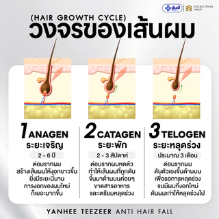 YANHEE TEEZEER Serum + Shampoo คู่หู ยันฮี ทีเซอร์ ยาสระผม แชมพู หยุดผมร่วง รากผมแข็งแรง ผมหงอก