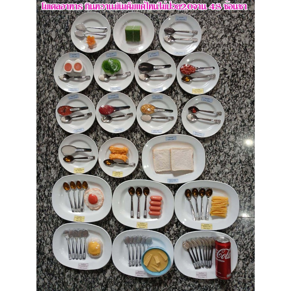โมเดลอาหารกินหวานมันเค็มแค่ไหนไม่ป่วย 20 จาน 48 ช้อนชา