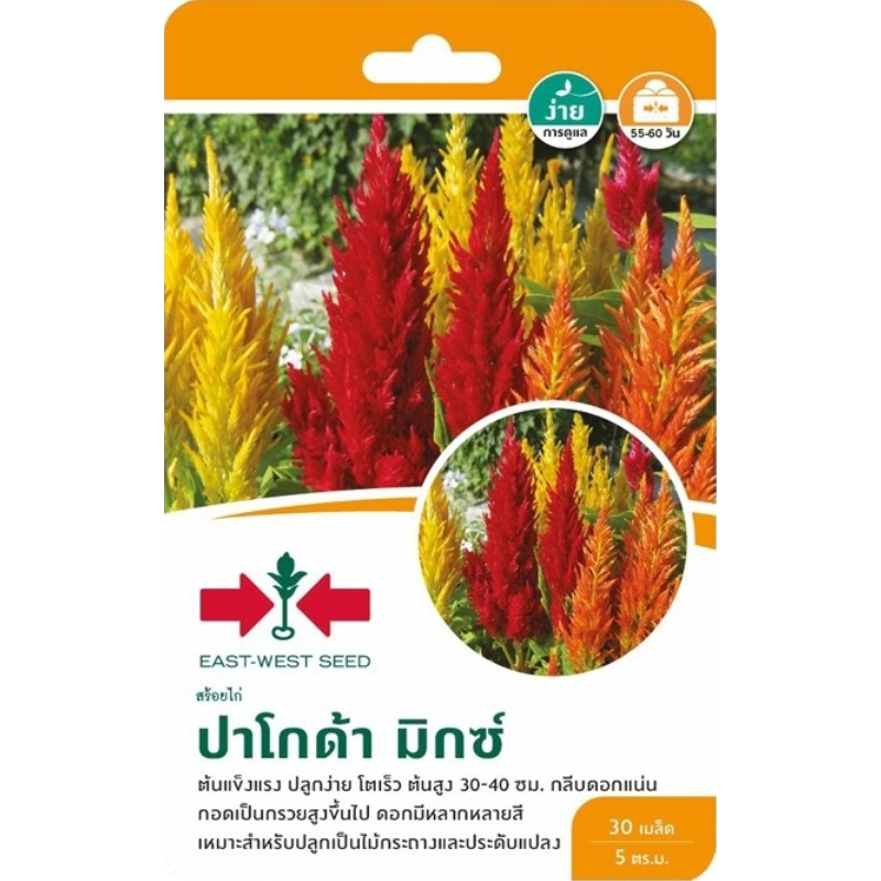เมล็ดพันธุ์ สร้อยไก่ ปาโกด้า มิกซ์ ตราศรแดง